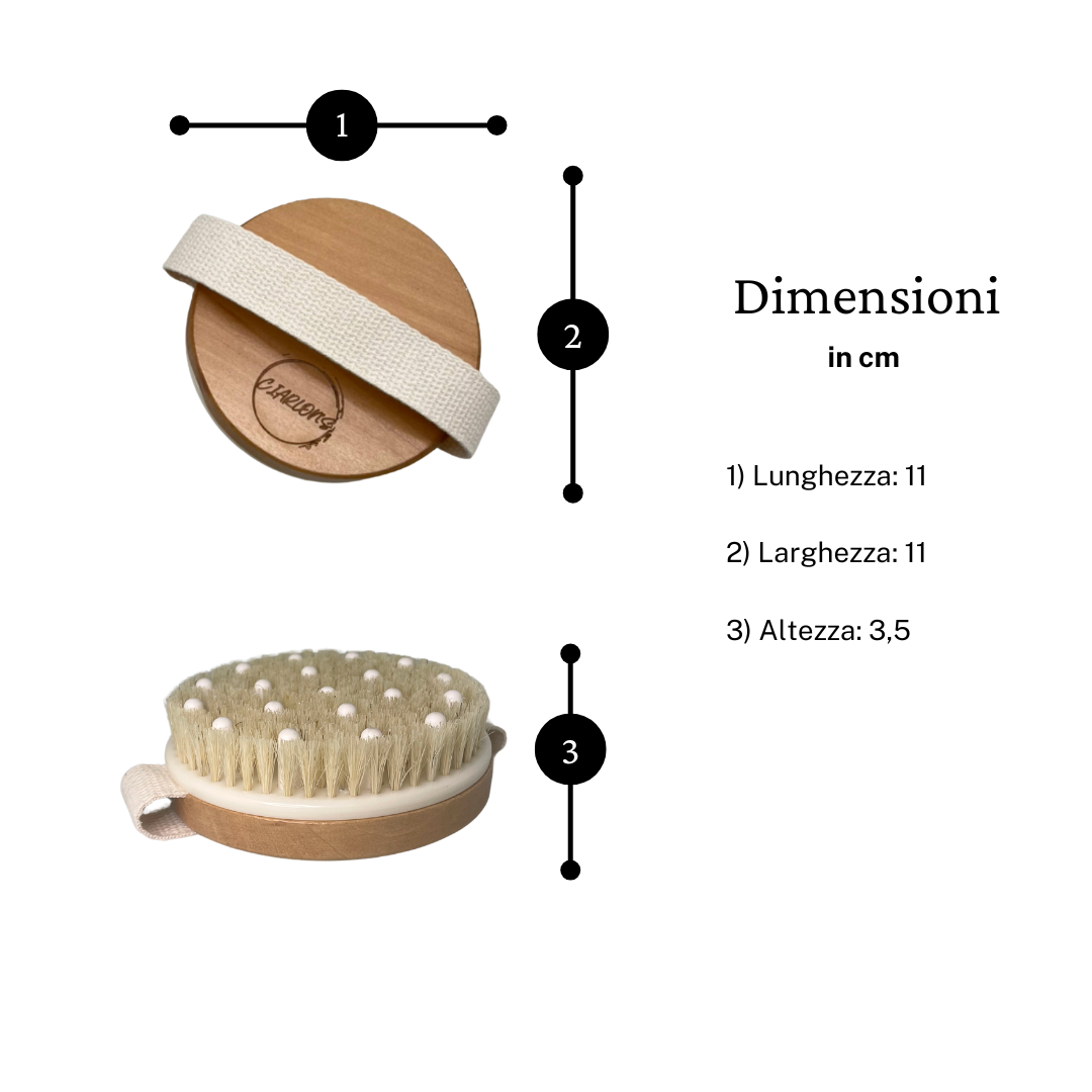 Spazzola Corpo Rotonda con Gommini nelle Setole – Ciarlon’s